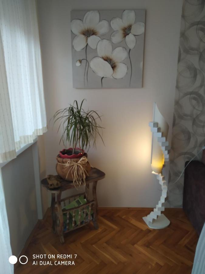 Apartman Ivan Vrdnik Extérieur photo